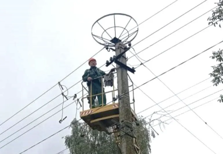 На Рівненщині встановлюють металеві платформи для лелечих гнізд