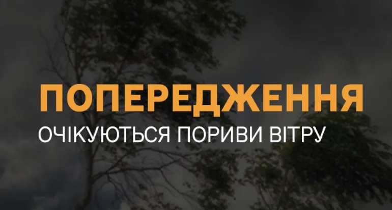 В Ровенской области прогнозируют сильные порывы ветра: советы спасателей