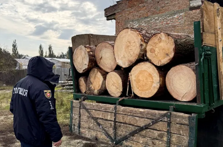 Two Cases of Illegal Logging Discovered in Rivne Region