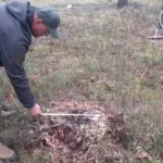 Illegal Logging Discovered in Rivne Region