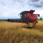 Сбор поздних сельскохозяйственных культур в Ровенской области продолжается