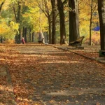 Weather Forecast for the Weekend in Rivne Region: Mild Weather