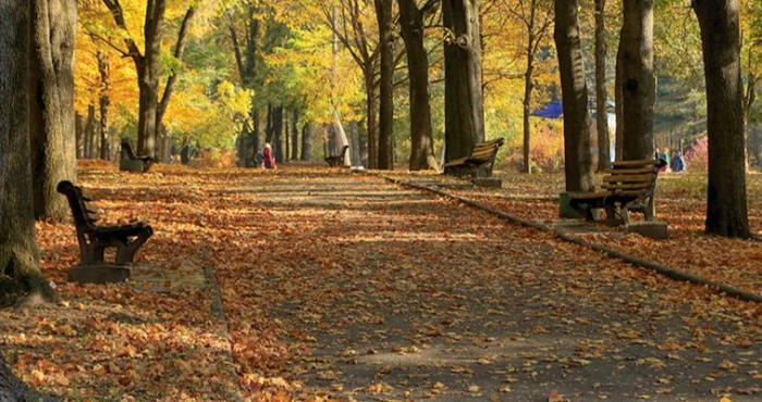 Weather Forecast for the Weekend in Rivne Region: Mild Weather