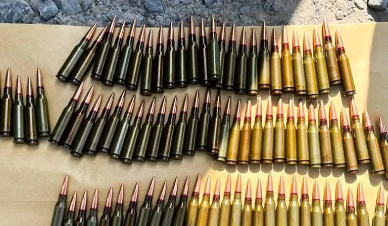 A Man in Rivne Region Sentenced for Possession of Ammunition