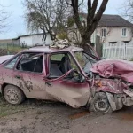 ДТП на Волині: водій не впорався з керуванням та в’їхав в дерево