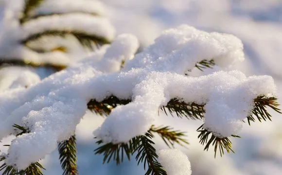 Weather Forecast for December 28: Snow and Dangerous Weather Events in Rivne