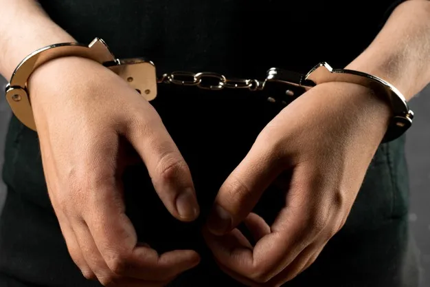 In Rivne, a criminal was sentenced to 5 years for car theft