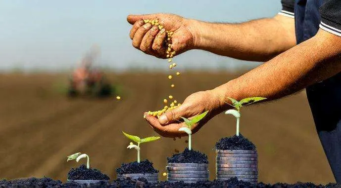 Фонд часткового гарантування кредитів у сільському господарстві Рівненщини