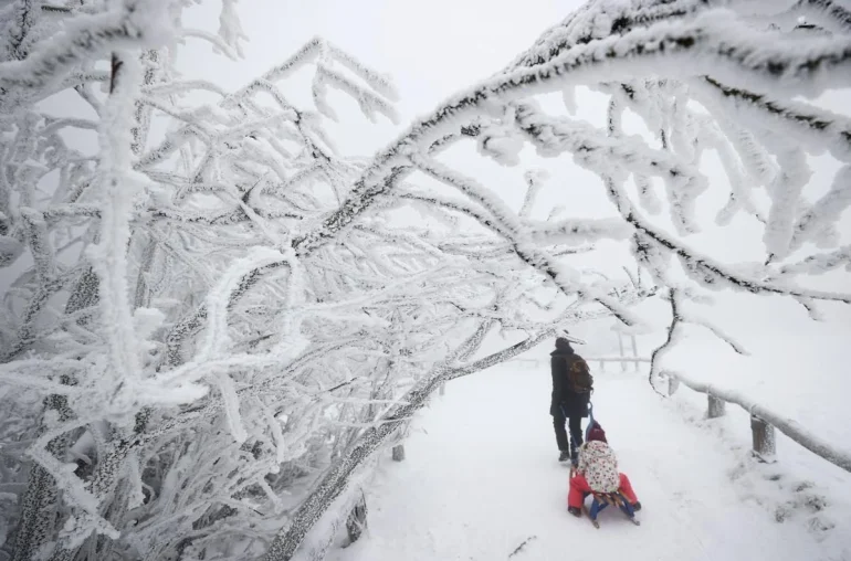 Up to 20 cm of Snow and Deteriorating Weather Conditions Expected in Rivne Region