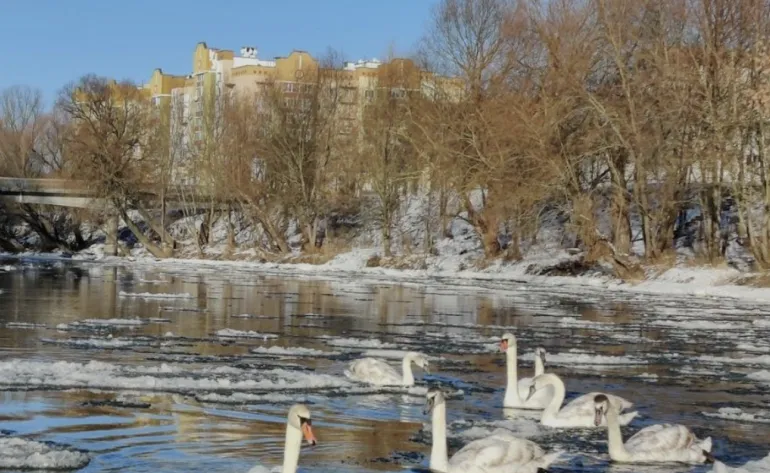 Water Quality in the Styr River Meets Environmental Standards