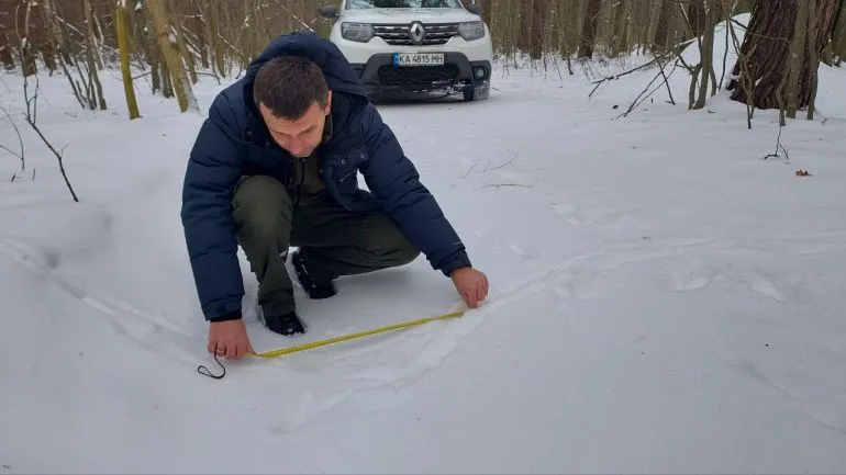 Зимний учёт животных в национальном парке Ровенщины