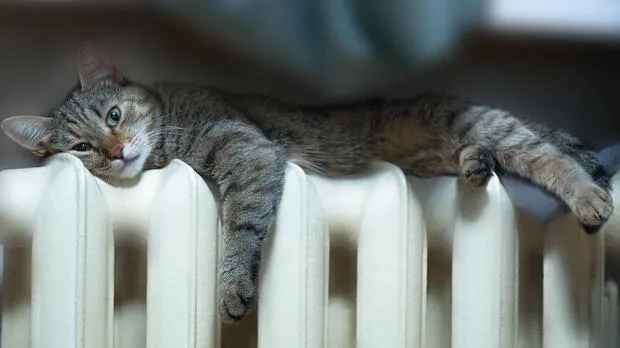 Restoration of Heating Supply in Rivne: Part of the City is Warm Again