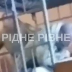 Напад на чоловіка у рівненському ТЦК: інцидент зафіксовано на відео