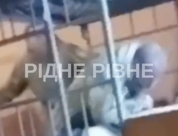 Напад на чоловіка у рівненському ТЦК: інцидент зафіксовано на відео
