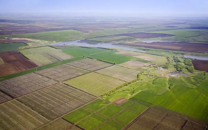 Court Returns 70 Hectares of Land to the Community in Rivne Region