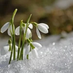 Weather Forecast for Rivne Region: Warm Up to 16 Degrees