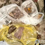 На Рівненщині затримали чоловіка за незаконне зберігання бурштину
