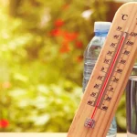 Новые температурные рекорды зафиксированы в Ровненской области