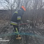 Масштабный пожар на Ровенщине: горят поля в селе Дибровск