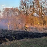 На Рівненщині за добу вигоріло понад 4 гектари землі