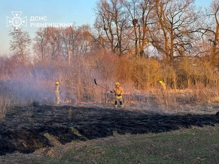 На Рівненщині за добу вигоріло понад 4 гектари землі