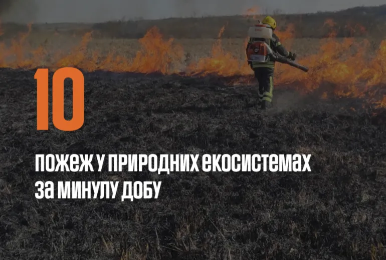 В Ровенской области за сутки произошло 10 пожаров в природных экосистемах