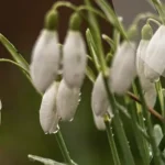 Weather Forecast for Rivne Region: Up to +15 Degrees on Monday