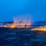 На Рівненщині за добу вогонь знищив майже 10 гектарів території