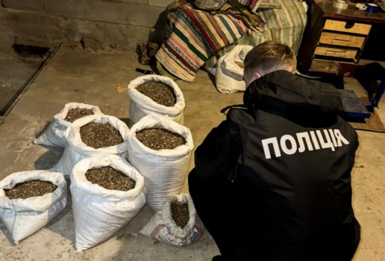 In Rivne Region, Criminals to Be Tried for Illegal Amber Business