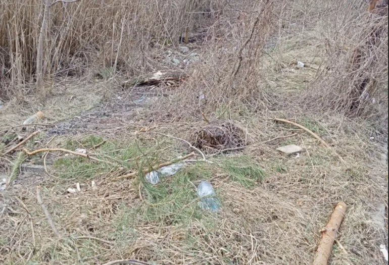 Eco-Inspection of Rivne Region Fines for Littering Near Water Body