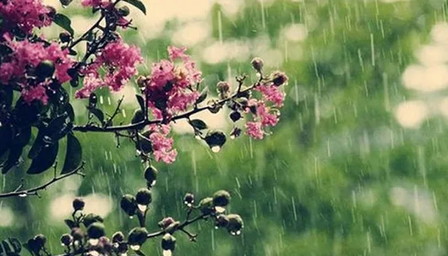 Weather Forecast for April 11: Rain and Temperatures up to +11 in Rivne Region