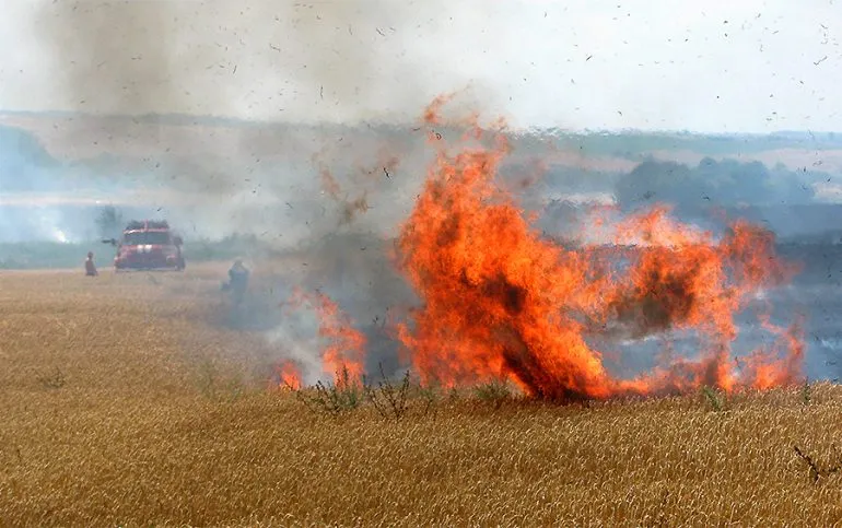 Nine Field Fires Recorded in Rivne Region in One Day