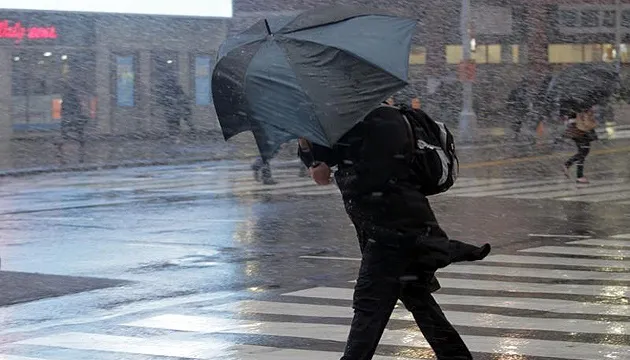 Strong Winds Expected in Rivne: Important Safety Tips