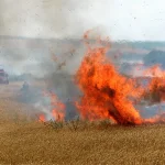 В Ровненской области зафиксировано 8 пожаров в экосистемах