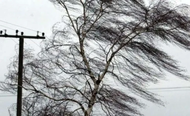 Storm Warning in Rivne Region Due to Strong Winds