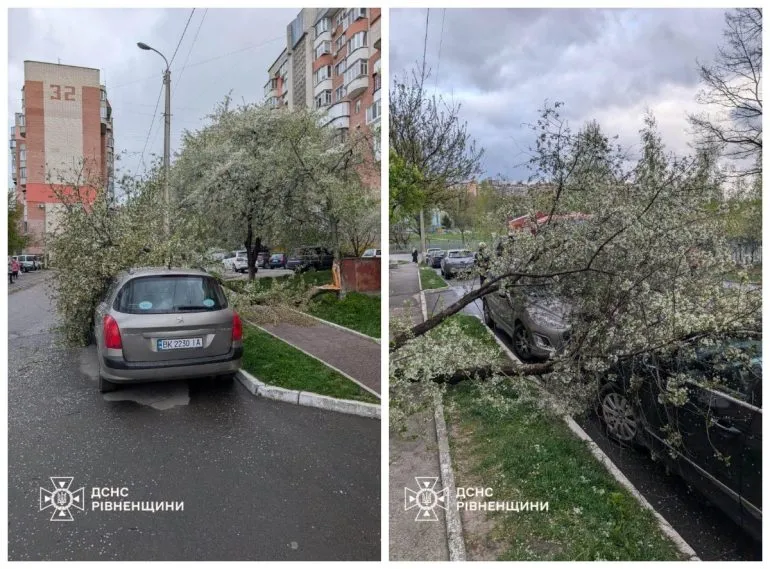 Спасатели Ровенщины ликвидируют последствия непогоды: шесть выездов на вызовы