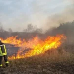 Рівненщина: оголошено надзвичайний рівень пожежної небезпеки