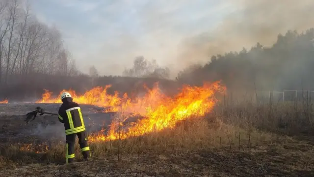Рівненщина: оголошено надзвичайний рівень пожежної небезпеки