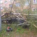 Спасатели Ровенщины ликвидировали последствия непогоды за сутки