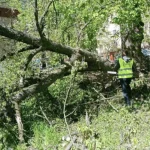 У Рівному триває ліквідація наслідків негоди та відновлення зелених зон
