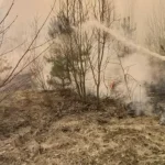 Рівненщина: оголошено надзвичайний рівень пожежної небезпеки