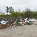 Экологи выявили свалки в Бабинской и Белокриницкой громадах