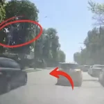 In Rivne, a Drunk Driver Violated Rules on Soborna Street