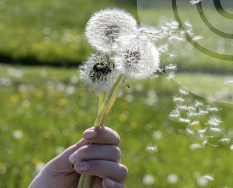Warm weather up to 22 degrees is forecasted in Rivne region
