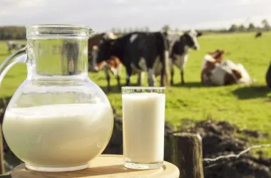 Виробництво тваринницької продукції на Рівненщині зросло на 19%