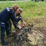 На Рівненщині незаконно нарубали дерев на суму 450 тисяч гривень