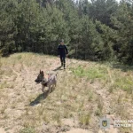 In Rivne Region, a 78-Year-Old Man Who Went Missing for Three Days Has Been Found