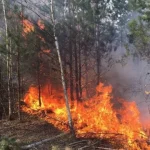 Рівненщина оголошує найвищий рівень пожежної небезпеки