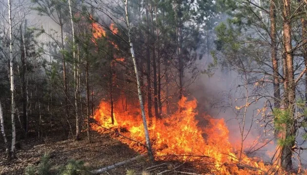 Рівненщина оголошує найвищий рівень пожежної небезпеки