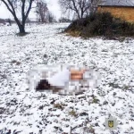 На Рівненщині судитимуть чоловіка, який вбив знайому в стані сп’яніння